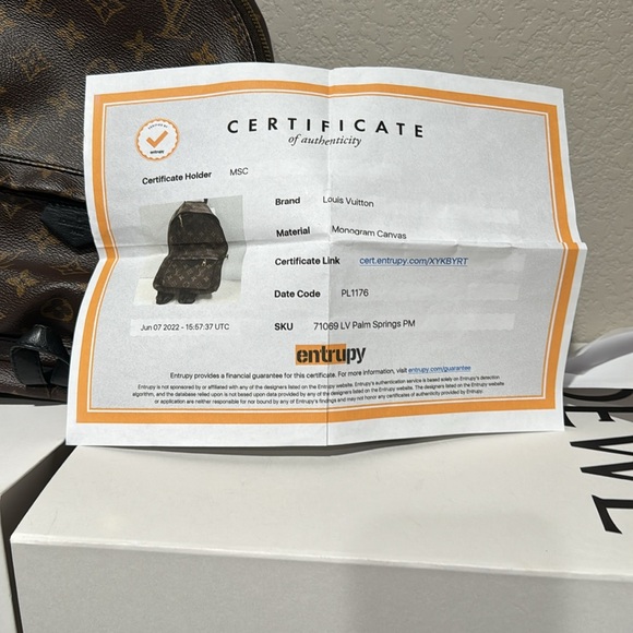 Louis Vuitton Palm Springs Monogram Brown Backpack - Damaged - Picture 12 of 15